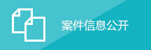 案件信息公开
